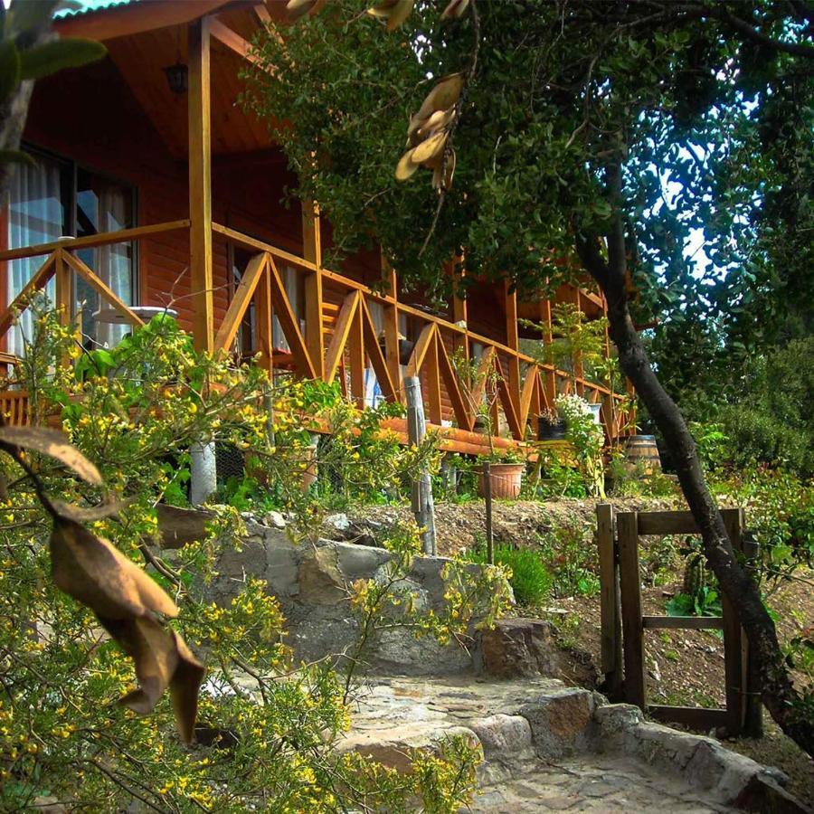 Las Lomitas De Guayacan, Cabanas Y Spa San José de Maipo Esterno foto
