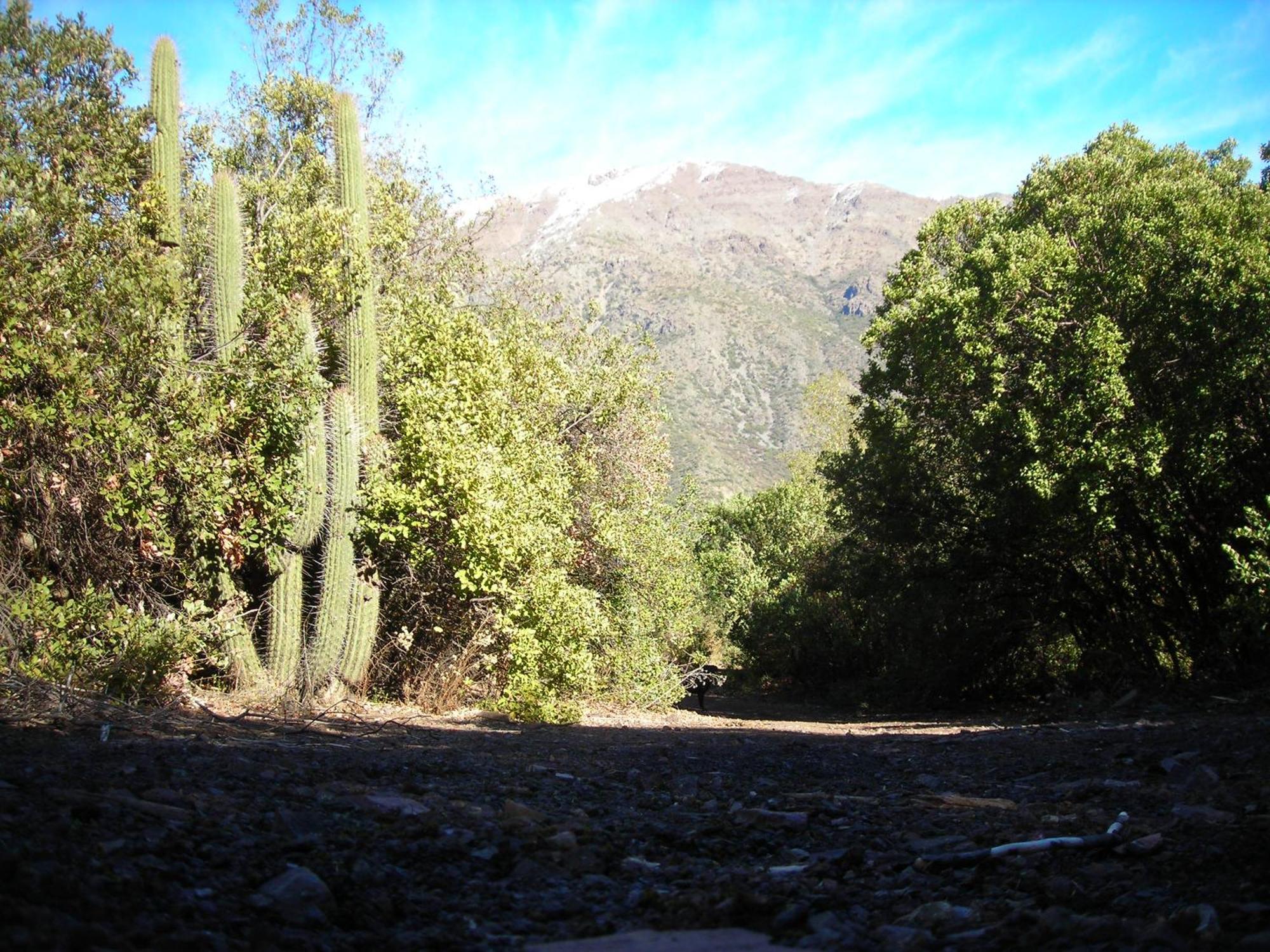 Las Lomitas De Guayacan, Cabanas Y Spa San José de Maipo Esterno foto